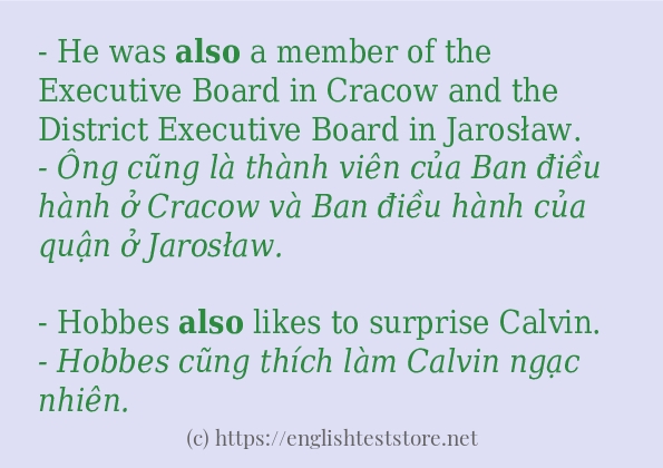 Các cách dùng từ also