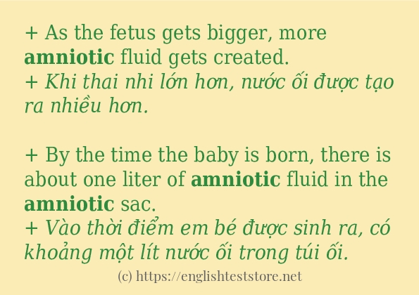 Các cách dùng từ amniotic