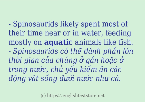 Các cách dùng từ aquatic Các cách dùng từ aquatic