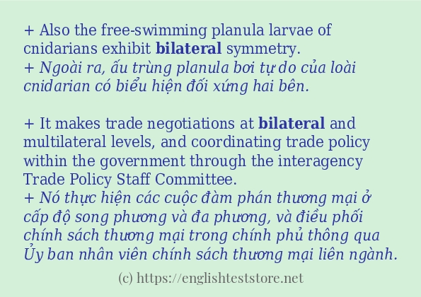 Các cách dùng từ bilateral