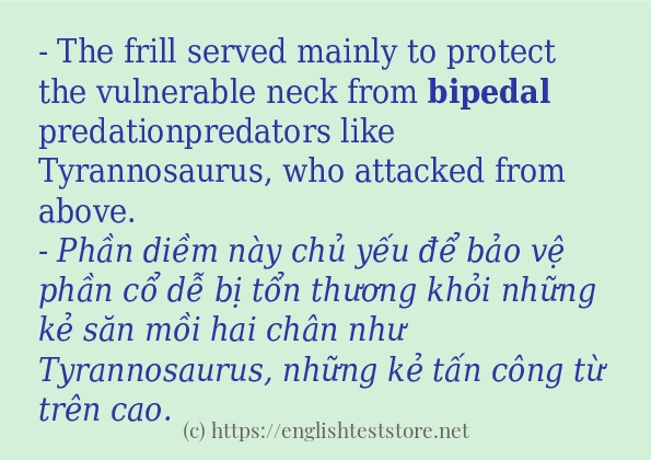 Các cách dùng từ bipedal