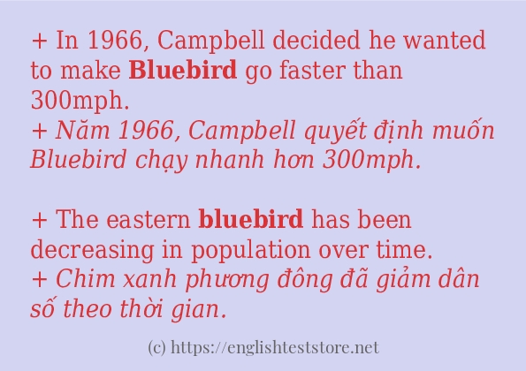 Các cách dùng từ bluebird