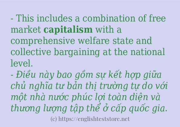 Các cách dùng từ capitalism
