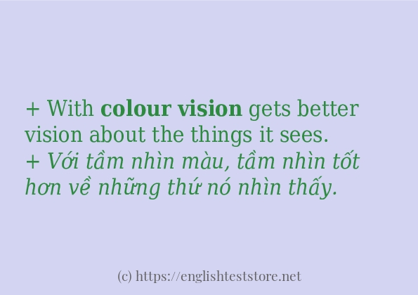 Các cách dùng từ colour vision