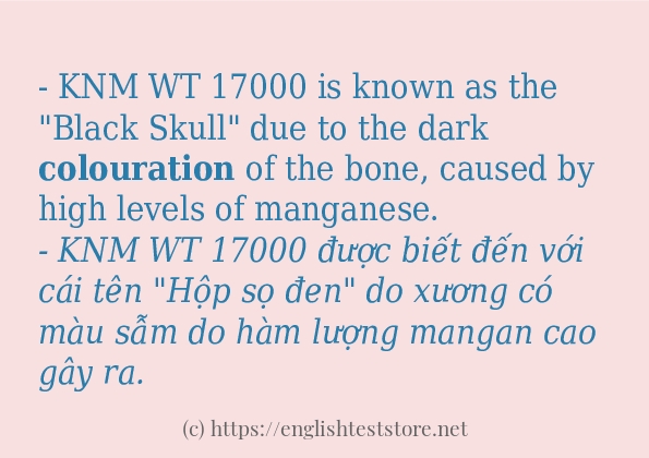 Các cách dùng từ colouration