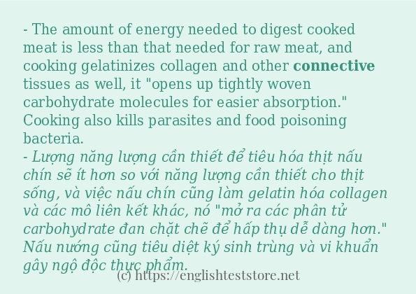 Các cách dùng từ connective