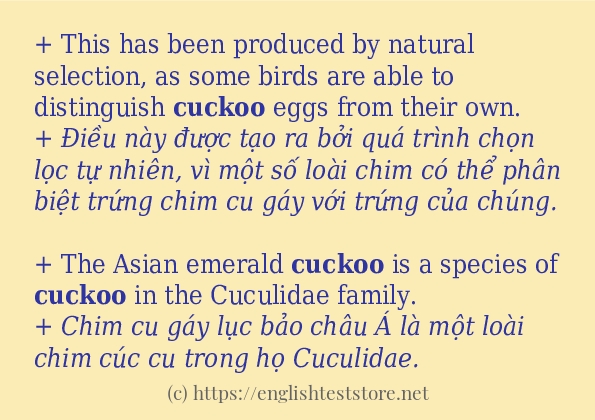 Các cách dùng từ cuckoo Các cách dùng từ cuckoo