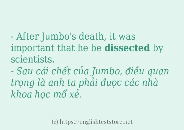 Các cách dùng từ dissected