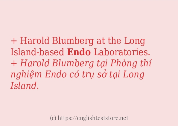 Các cách dùng từ endo