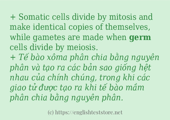 Các cách dùng từ germ