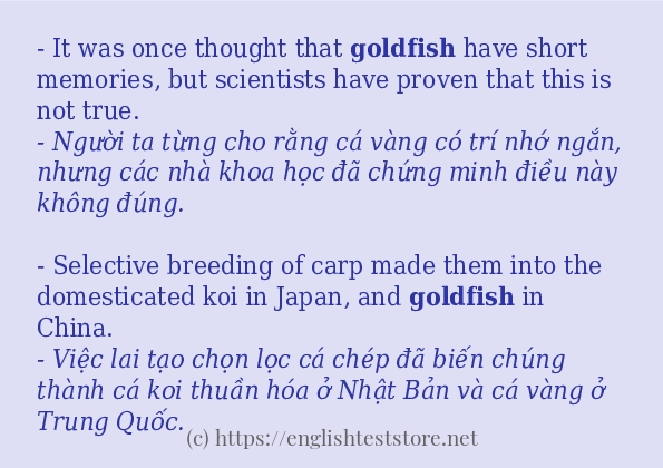 Các cách dùng từ goldfish