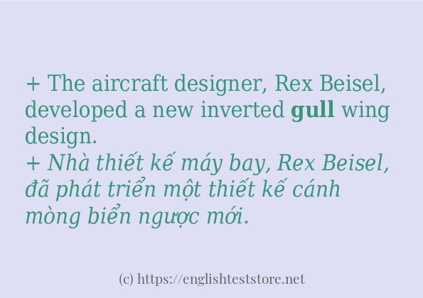 Các cách dùng từ gull Các cách dùng từ gull