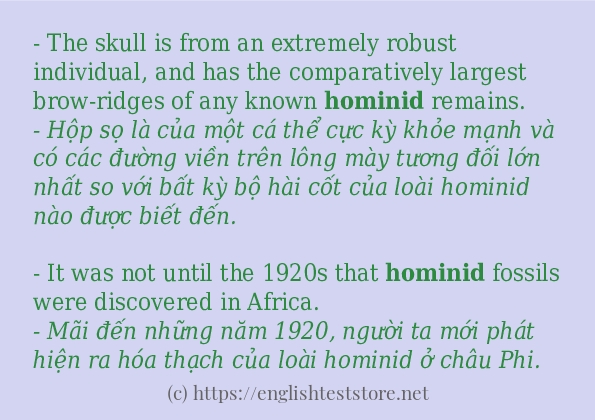 Các cách dùng từ hominid