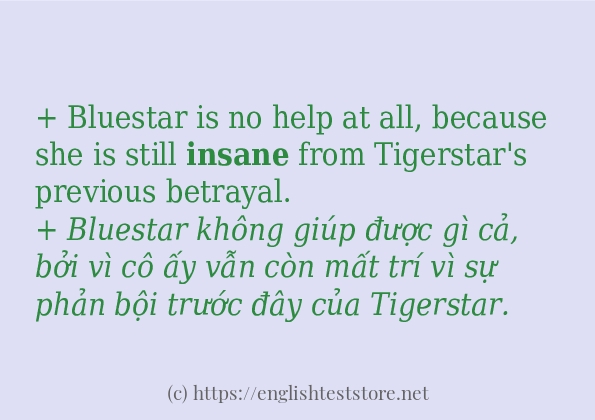 Các cách dùng từ insane