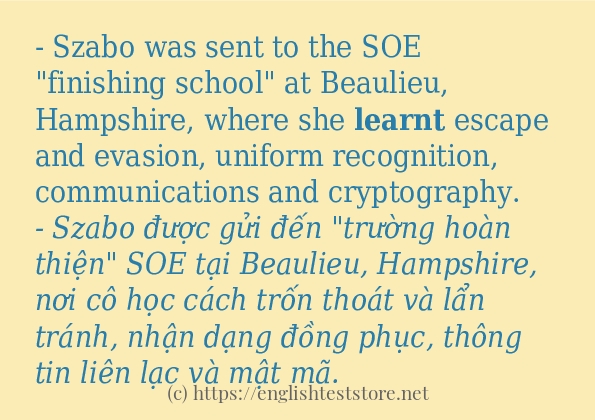 Các cách dùng từ learnt Các cách dùng từ learnt