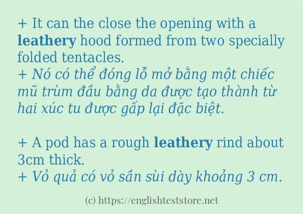 Các cách dùng từ leathery