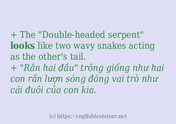 Các cách dùng từ looks