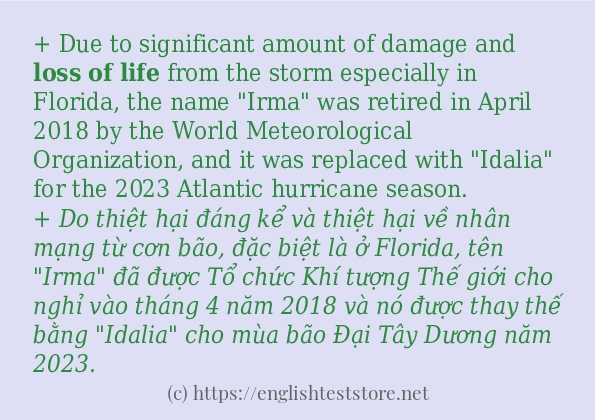 Các cách dùng từ loss of life