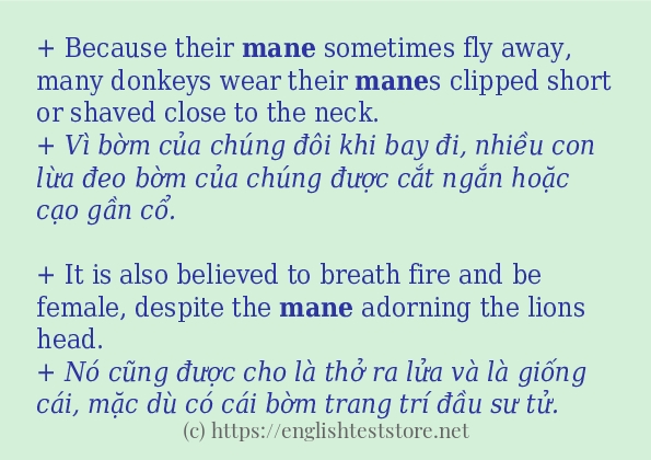 Các cách dùng từ mane