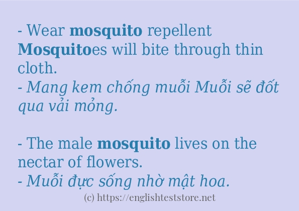 Các cách dùng từ mosquito Các cách dùng từ mosquito