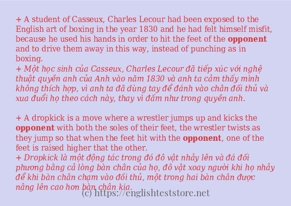 Các cách dùng từ opponent