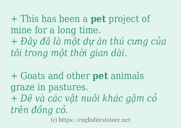 Các cách dùng từ pet
