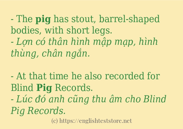 Các cách dùng từ pig