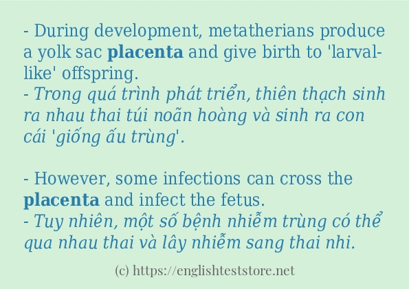 Các cách dùng từ placenta