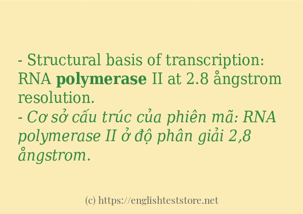 Các cách dùng từ polymerase