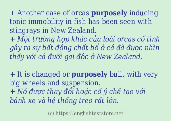 Các cách dùng từ purposely