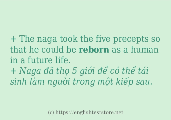 Các cách dùng từ reborn