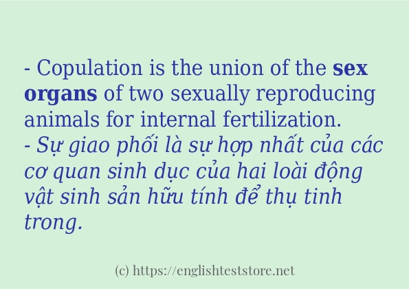Các cách dùng từ sex organs