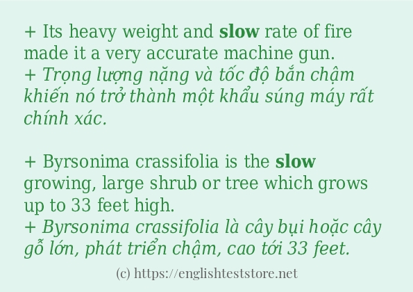 Các cách dùng từ slow Các cách dùng từ slow