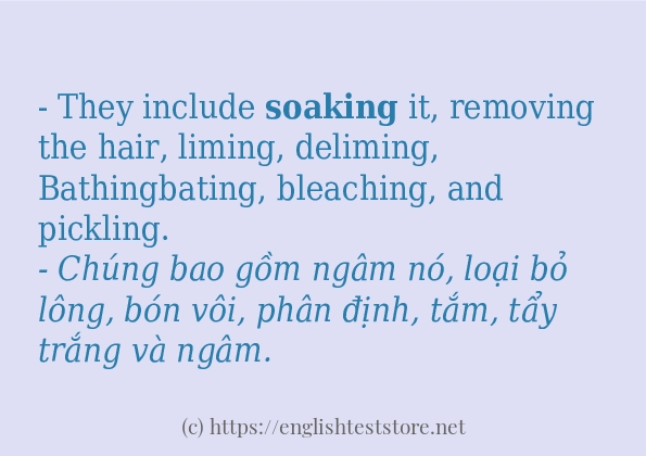 Các cách dùng từ soaking