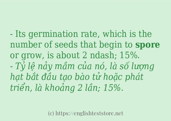 Các cách dùng từ spore