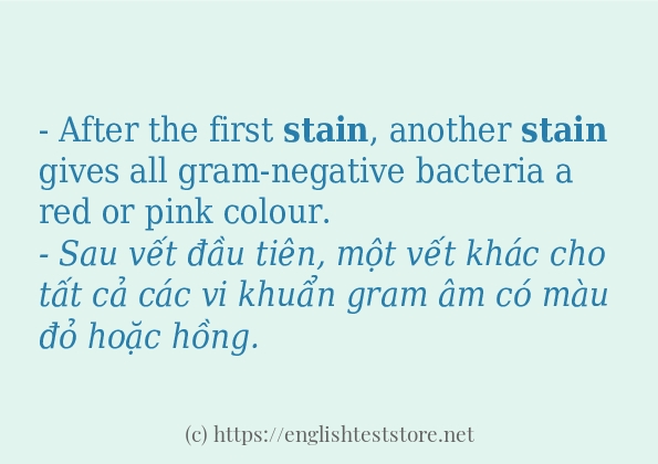 Các cách dùng từ stain