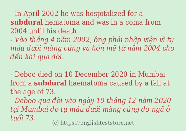 Các cách dùng từ subdural