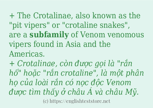 Các cách dùng từ subfamily Các cách dùng từ subfamily