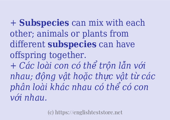 Các cách dùng từ subspecies
