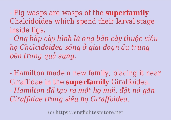 Các cách dùng từ superfamily