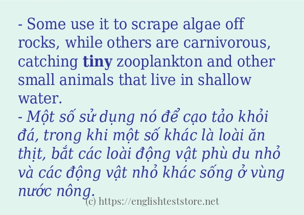 Các cách dùng từ tiny