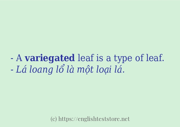 Các cách dùng từ variegated