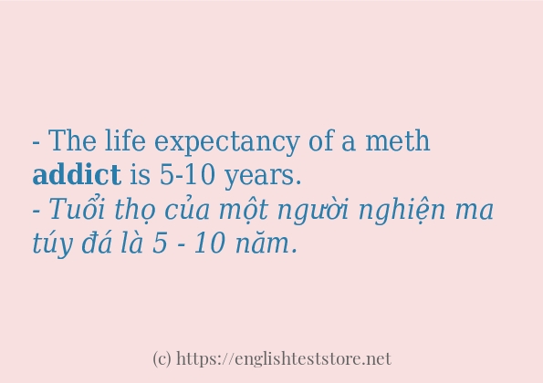 Các câu ví dụ của từ addict