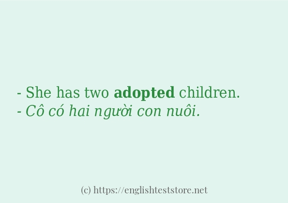 Các câu ví dụ của từ adopted
