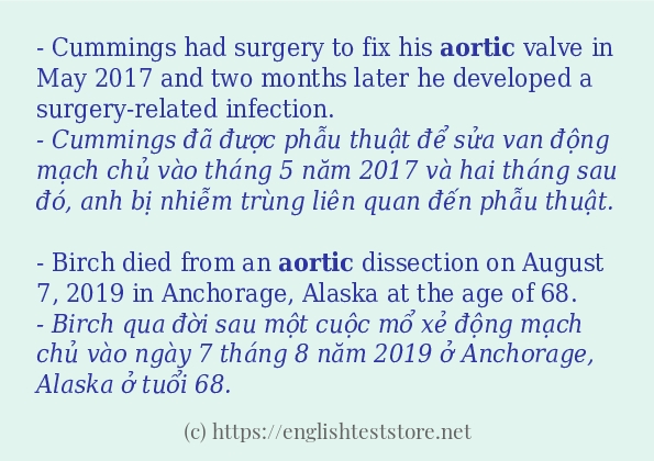 Các câu ví dụ của từ aortic Các câu ví dụ của từ aortic