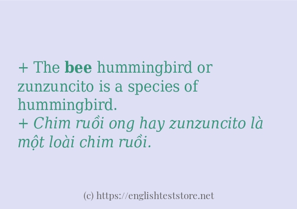 Các câu ví dụ của từ bee Các câu ví dụ của từ bee