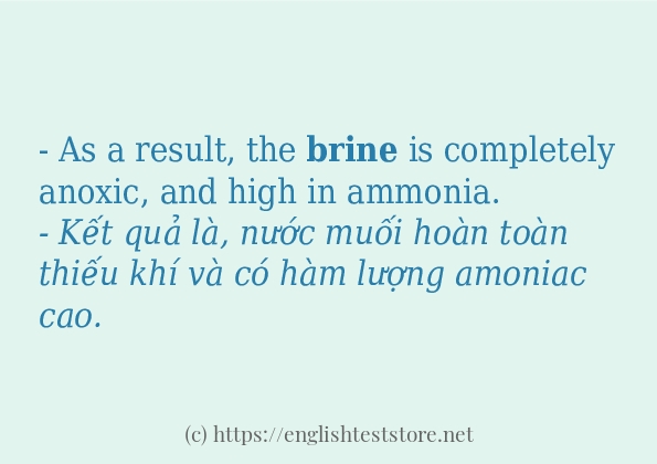 Các câu ví dụ của từ brine Các câu ví dụ của từ brine