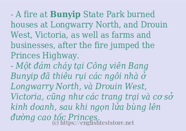 Các câu ví dụ của từ bunyip