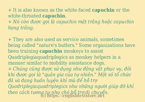 Các câu ví dụ của từ capuchin