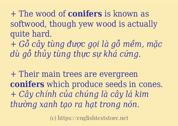 Các câu ví dụ của từ conifers